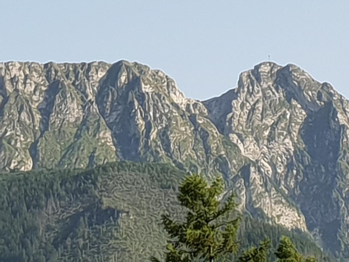Willa Za Strugiem Zakopane Bagian luar foto