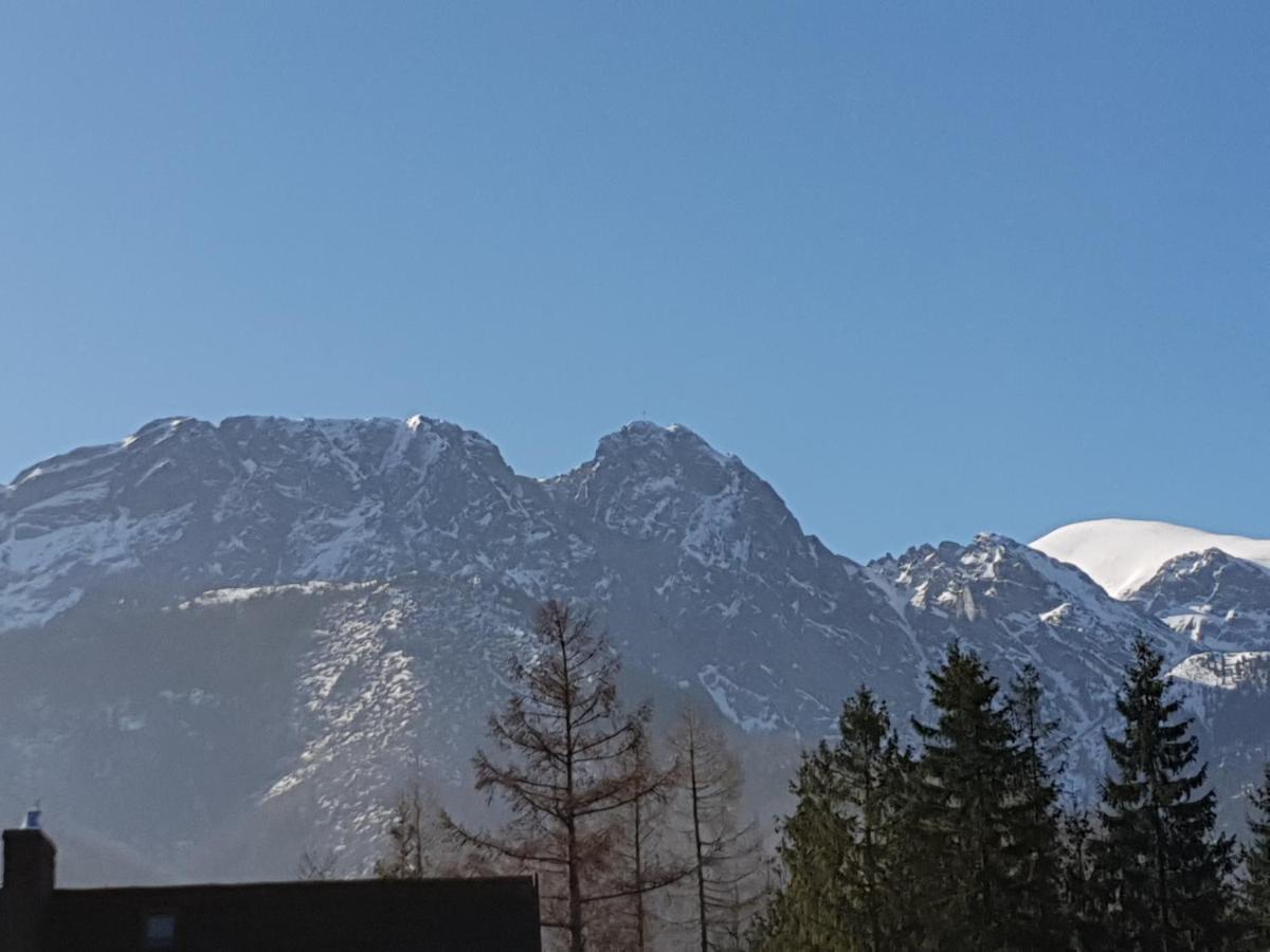Willa Za Strugiem Zakopane Bagian luar foto