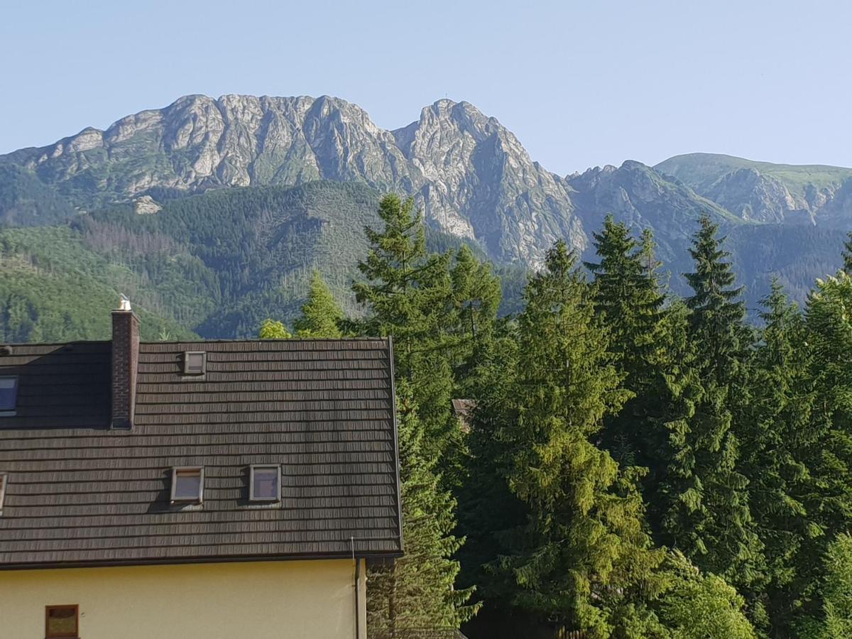 Willa Za Strugiem Zakopane Bagian luar foto